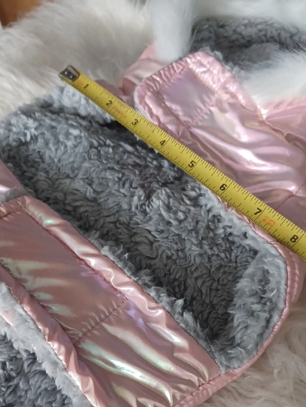 Small Dog Iridescent Outfit